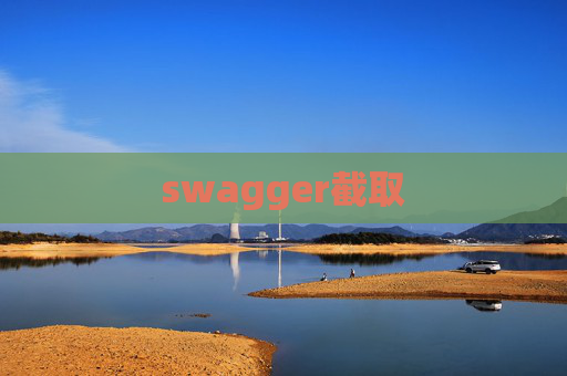 swagger截取